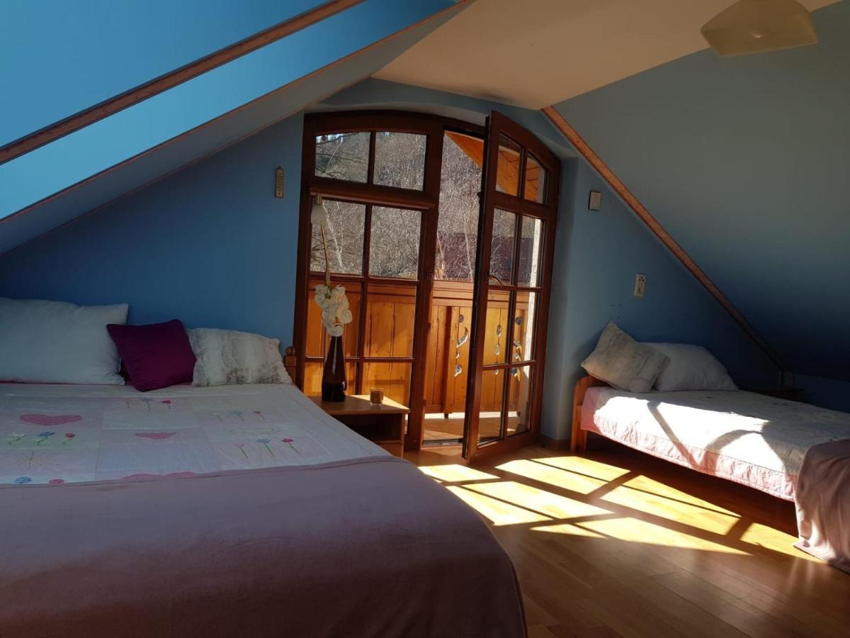 Apartament Intol Z Widokiem Na Sniezke 카르파츠 외부 사진